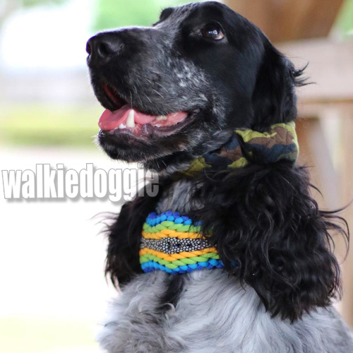 クリックで画像を表示