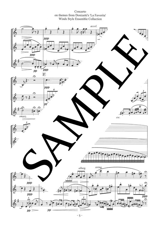 ● 絶版 吹奏楽楽譜 M.Mussorgsky / 司祭の行列 maxresdefault.jpg?sqp=-