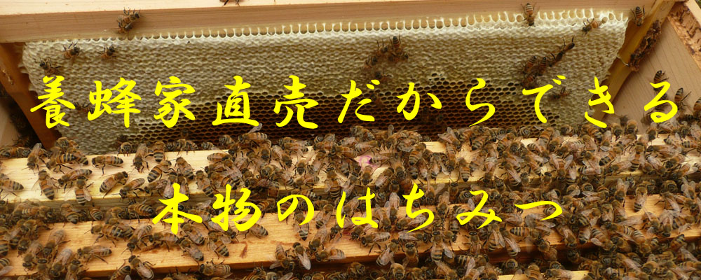 山中養蜂　買い物カゴ　ページ