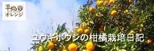 柑橘栽培日記ブログ